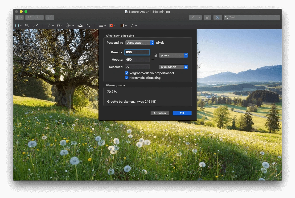 Afbeeldingen optimaliseren