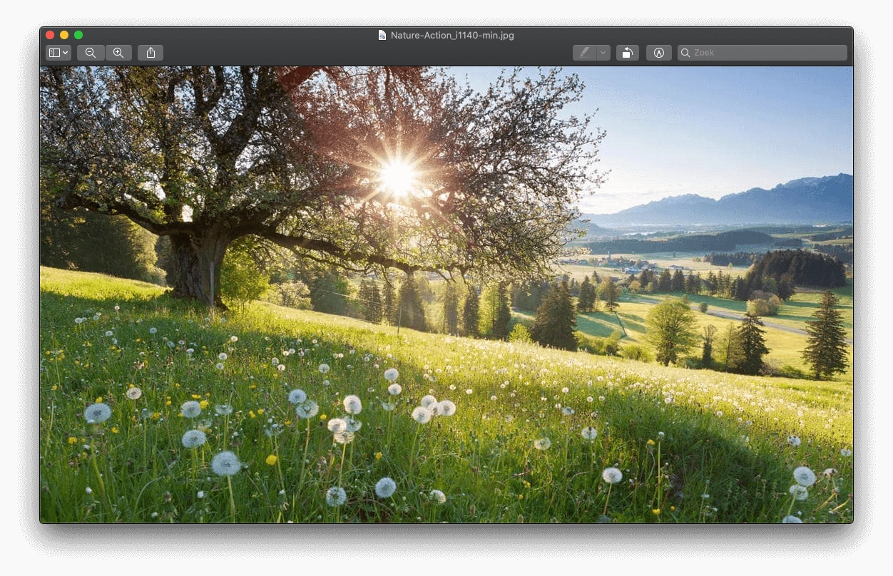 Afbeeldingen optimaliseren